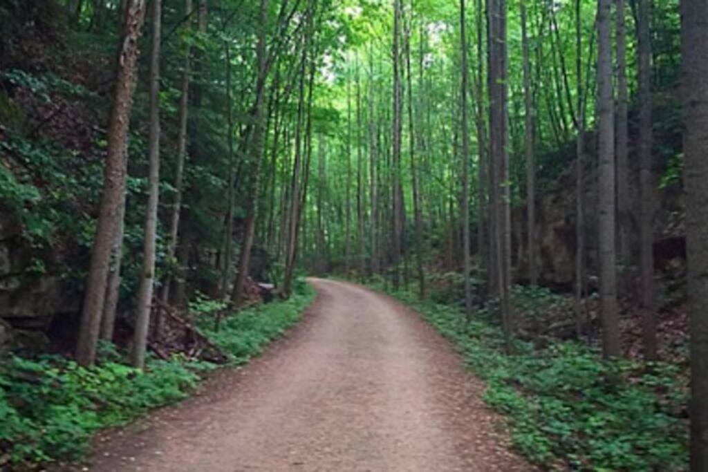 Stay In Ohiopyle Near The Gap Trail - Ohiopyle, Pa Luaran gambar