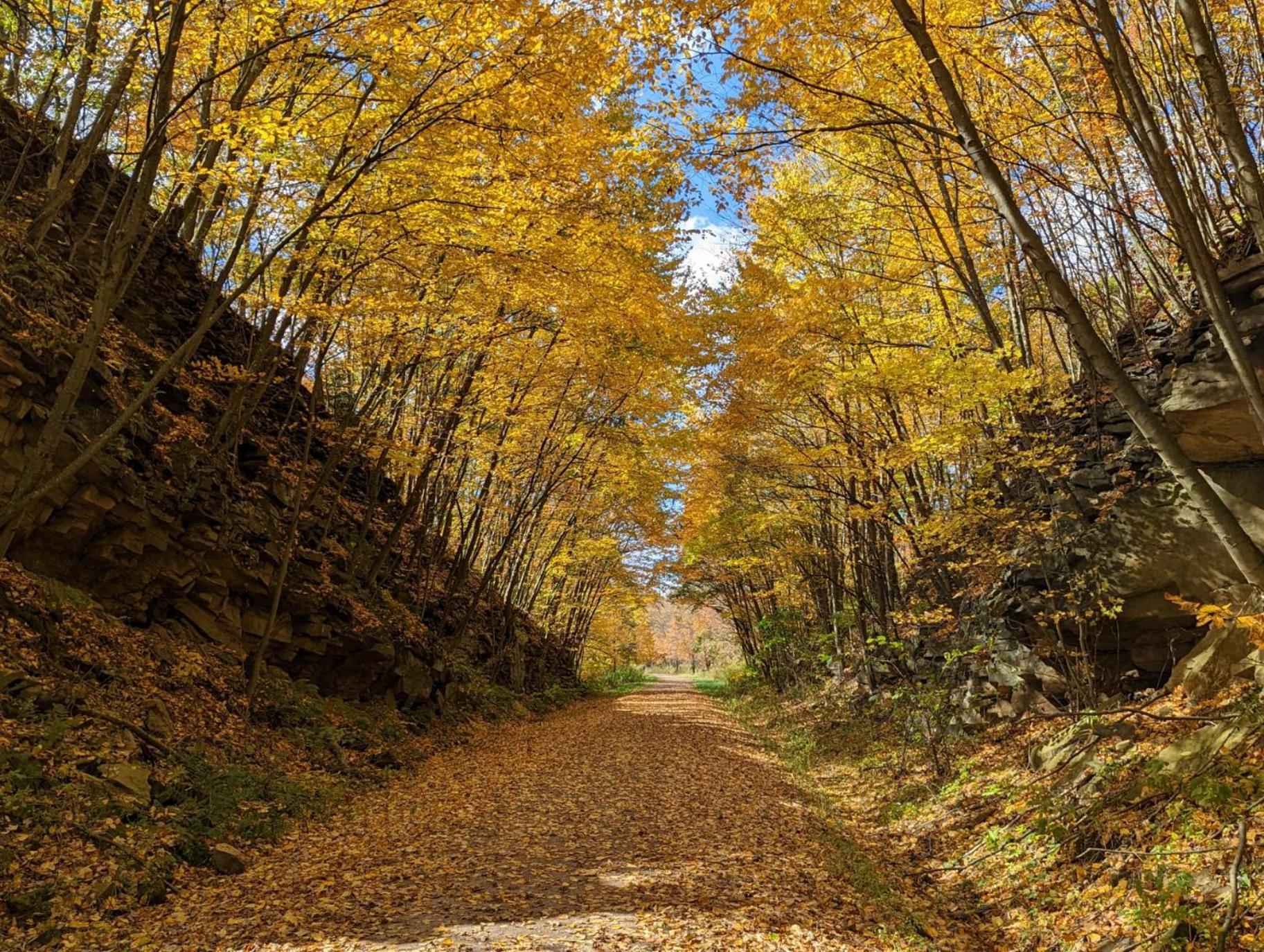 Stay In Ohiopyle Near The Gap Trail - Ohiopyle, Pa Luaran gambar